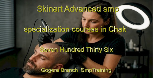 Skinart Advanced smp specialization courses in Chak Seven Hundred Thirty Six Gogera Branch | SmpTraining | SmpClasses | SkinartTraining-Pakistan