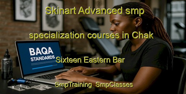 Skinart Advanced smp specialization courses in Chak Sixteen Eastern Bar | SmpTraining | SmpClasses | SkinartTraining-Pakistan
