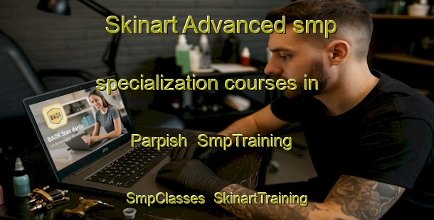 Skinart Advanced smp specialization courses in Parpish | SmpTraining | SmpClasses | SkinartTraining-Pakistan