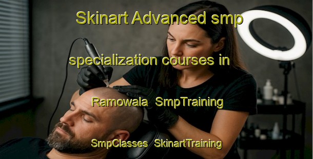 Skinart Advanced smp specialization courses in Ramowala | SmpTraining | SmpClasses | SkinartTraining-Pakistan