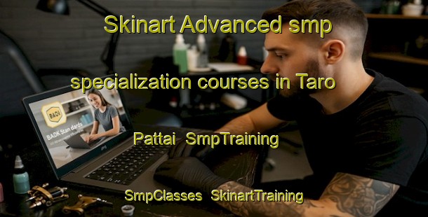 Skinart Advanced smp specialization courses in Taro Pattai | SmpTraining | SmpClasses | SkinartTraining-Pakistan