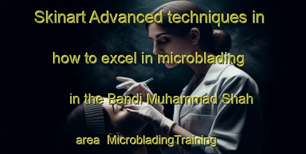 Skinart Advanced techniques in how to excel in microblading in the Bandi Muhammad Shah area | MicrobladingTraining | MicrobladingClasses | SkinartTraining-Pakistan