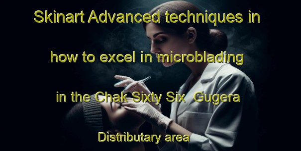 Skinart Advanced techniques in how to excel in microblading in the Chak Sixty Six  Gugera Distributary area | MicrobladingTraining | MicrobladingClasses | SkinartTraining-Pakistan