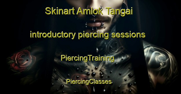 Skinart Amlok Tangai introductory piercing sessions | PiercingTraining | PiercingClasses | SkinartTraining-Pakistan