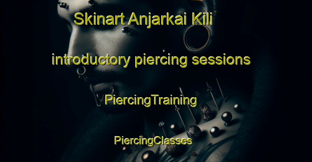 Skinart Anjarkai Kili introductory piercing sessions | PiercingTraining | PiercingClasses | SkinartTraining-Pakistan