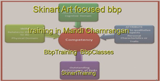Skinart Art-focused bbp training in Mandi Chamrangan | BbpTraining | BbpClasses | SkinartTraining-Pakistan
