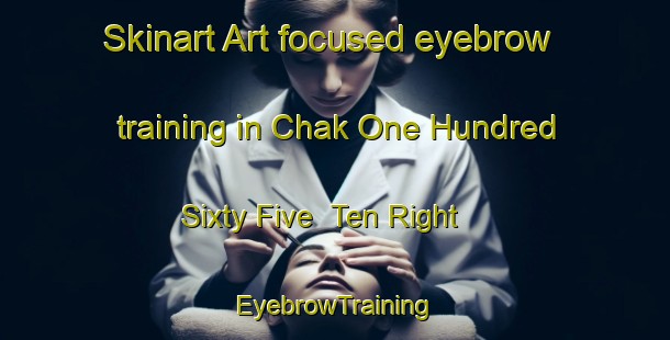 Skinart Art-focused eyebrow training in Chak One Hundred Sixty Five  Ten Right | EyebrowTraining | EyebrowClasses | SkinartTraining-Pakistan