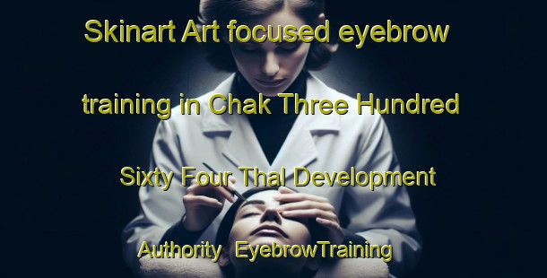 Skinart Art-focused eyebrow training in Chak Three Hundred Sixty Four Thal Development Authority | EyebrowTraining | EyebrowClasses | SkinartTraining-Pakistan