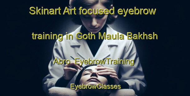 Skinart Art-focused eyebrow training in Goth Maula Bakhsh Abro | EyebrowTraining | EyebrowClasses | SkinartTraining-Pakistan