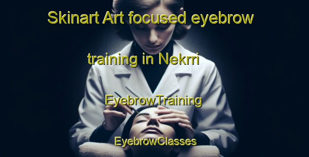 Skinart Art-focused eyebrow training in Nekrri | EyebrowTraining | EyebrowClasses | SkinartTraining-Pakistan