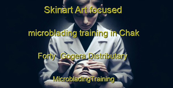Skinart Art-focused microblading training in Chak Forty  Gogera Distributary | MicrobladingTraining | MicrobladingClasses | SkinartTraining-Pakistan