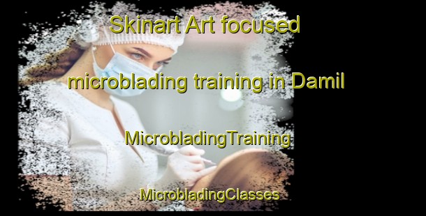 Skinart Art-focused microblading training in Damil | MicrobladingTraining | MicrobladingClasses | SkinartTraining-Pakistan