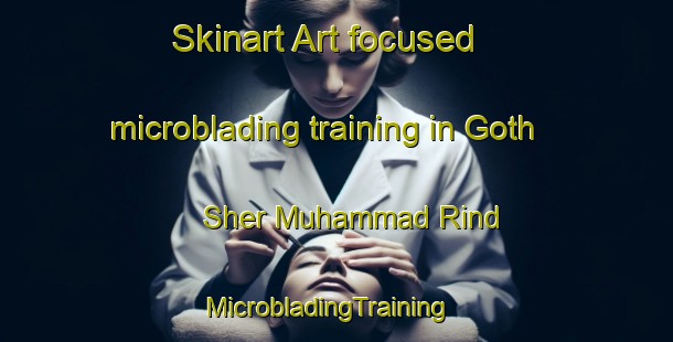 Skinart Art-focused microblading training in Goth Sher Muhammad Rind | MicrobladingTraining | MicrobladingClasses | SkinartTraining-Pakistan