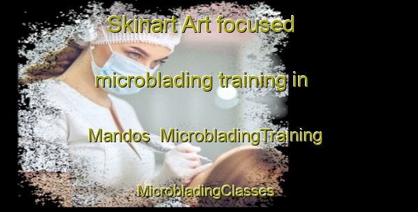 Skinart Art-focused microblading training in Mandos | MicrobladingTraining | MicrobladingClasses | SkinartTraining-Pakistan
