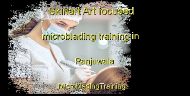 Skinart Art-focused microblading training in Panjuwala | MicrobladingTraining | MicrobladingClasses | SkinartTraining-Pakistan
