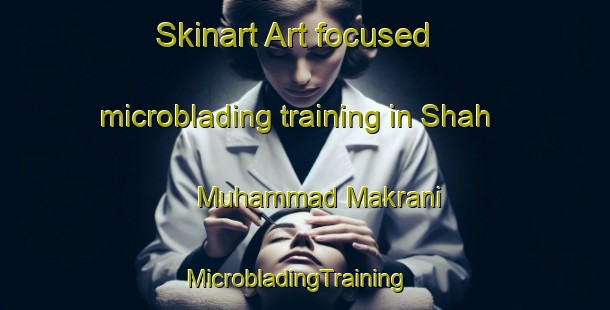 Skinart Art-focused microblading training in Shah Muhammad Makrani | MicrobladingTraining | MicrobladingClasses | SkinartTraining-Pakistan