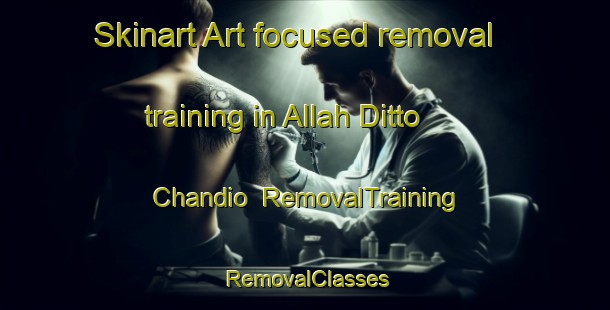 Skinart Art-focused removal training in Allah Ditto Chandio | RemovalTraining | RemovalClasses | SkinartTraining-Pakistan