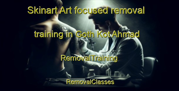 Skinart Art-focused removal training in Goth Kot Ahmad | RemovalTraining | RemovalClasses | SkinartTraining-Pakistan