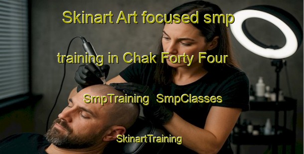 Skinart Art-focused smp training in Chak Forty Four | SmpTraining | SmpClasses | SkinartTraining-Pakistan
