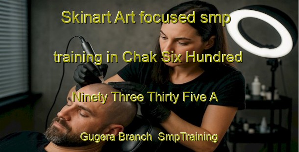 Skinart Art-focused smp training in Chak Six Hundred Ninety Three Thirty Five A Gugera Branch | SmpTraining | SmpClasses | SkinartTraining-Pakistan