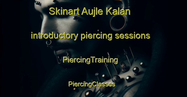 Skinart Aujle Kalan introductory piercing sessions | PiercingTraining | PiercingClasses | SkinartTraining-Pakistan