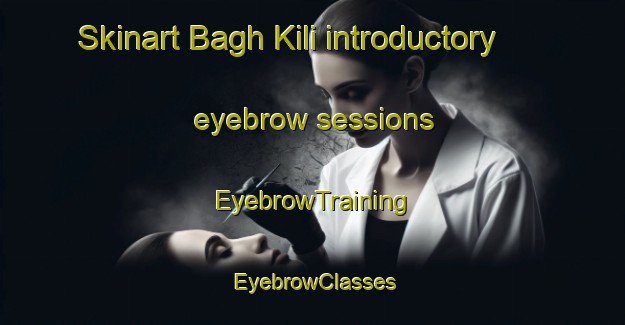 Skinart Bagh Kili introductory eyebrow sessions | EyebrowTraining | EyebrowClasses | SkinartTraining-Pakistan