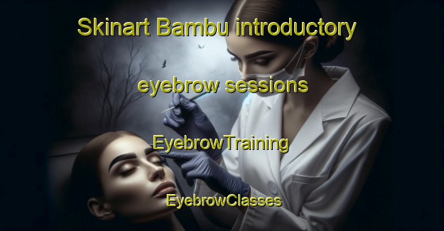 Skinart Bambu introductory eyebrow sessions | EyebrowTraining | EyebrowClasses | SkinartTraining-Pakistan