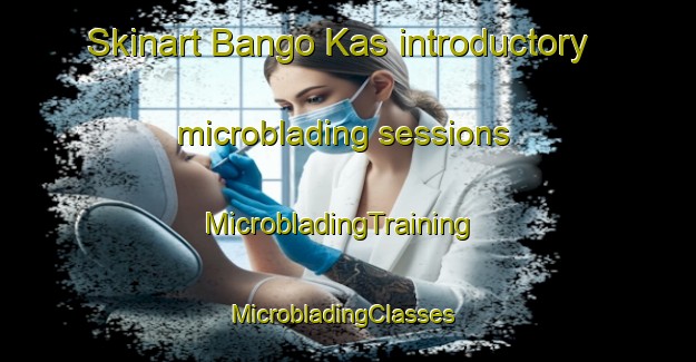 Skinart Bango Kas introductory microblading sessions | MicrobladingTraining | MicrobladingClasses | SkinartTraining-Pakistan