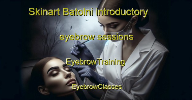 Skinart Batolni introductory eyebrow sessions | EyebrowTraining | EyebrowClasses | SkinartTraining-Pakistan