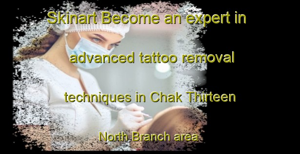Skinart Become an expert in advanced tattoo removal techniques in Chak Thirteen North Branch area | RemovalTraining | RemovalClasses | SkinartTraining-Pakistan