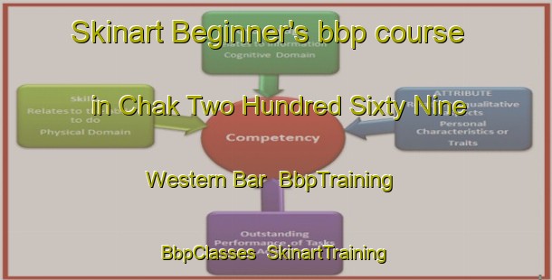 Skinart Beginner's bbp course in Chak Two Hundred Sixty Nine Western Bar | BbpTraining | BbpClasses | SkinartTraining-Pakistan