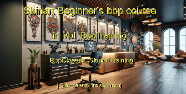 Skinart Beginner's bbp course in Mul | BbpTraining | BbpClasses | SkinartTraining-Pakistan
