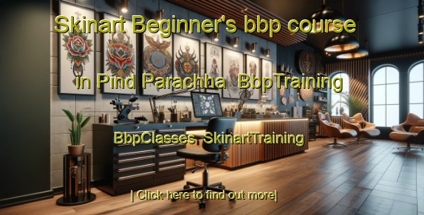 Skinart Beginner's bbp course in Pind Parachha | BbpTraining | BbpClasses | SkinartTraining-Pakistan
