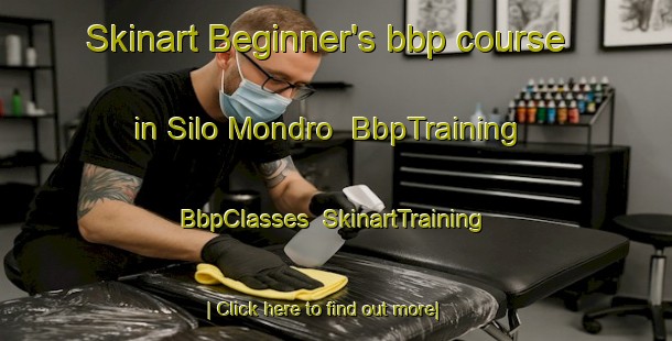 Skinart Beginner's bbp course in Silo Mondro | BbpTraining | BbpClasses | SkinartTraining-Pakistan