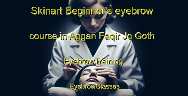 Skinart Beginner's eyebrow course in Aggan Faqir Jo Goth | EyebrowTraining | EyebrowClasses | SkinartTraining-Pakistan