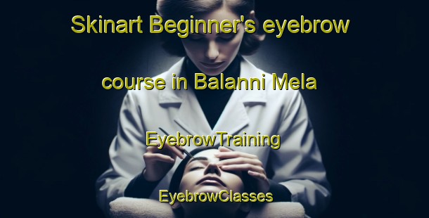 Skinart Beginner's eyebrow course in Balanni Mela | EyebrowTraining | EyebrowClasses | SkinartTraining-Pakistan
