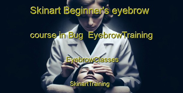 Skinart Beginner's eyebrow course in Bug | EyebrowTraining | EyebrowClasses | SkinartTraining-Pakistan