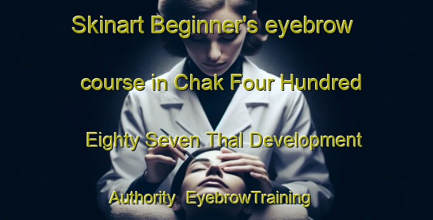 Skinart Beginner's eyebrow course in Chak Four Hundred Eighty Seven Thal Development Authority | EyebrowTraining | EyebrowClasses | SkinartTraining-Pakistan