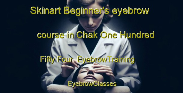 Skinart Beginner's eyebrow course in Chak One Hundred Fifty Four | EyebrowTraining | EyebrowClasses | SkinartTraining-Pakistan