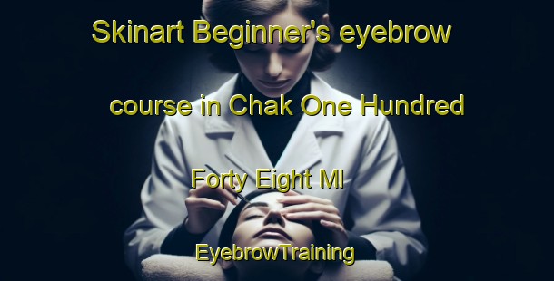 Skinart Beginner's eyebrow course in Chak One Hundred Forty Eight Ml | EyebrowTraining | EyebrowClasses | SkinartTraining-Pakistan