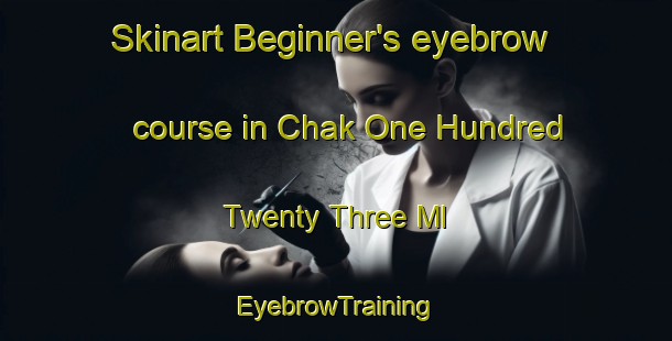 Skinart Beginner's eyebrow course in Chak One Hundred Twenty Three Ml | EyebrowTraining | EyebrowClasses | SkinartTraining-Pakistan