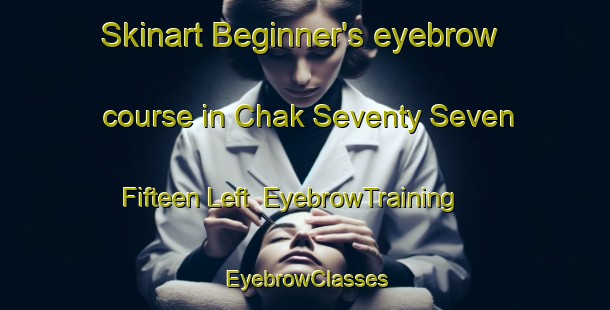 Skinart Beginner's eyebrow course in Chak Seventy Seven  Fifteen Left | EyebrowTraining | EyebrowClasses | SkinartTraining-Pakistan