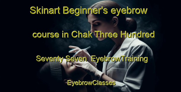 Skinart Beginner's eyebrow course in Chak Three Hundred Seventy Seven | EyebrowTraining | EyebrowClasses | SkinartTraining-Pakistan