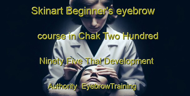 Skinart Beginner's eyebrow course in Chak Two Hundred Ninety Five Thal Development Authority | EyebrowTraining | EyebrowClasses | SkinartTraining-Pakistan
