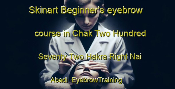 Skinart Beginner's eyebrow course in Chak Two Hundred Seventy Two Hakra Right Nai Abadi | EyebrowTraining | EyebrowClasses | SkinartTraining-Pakistan