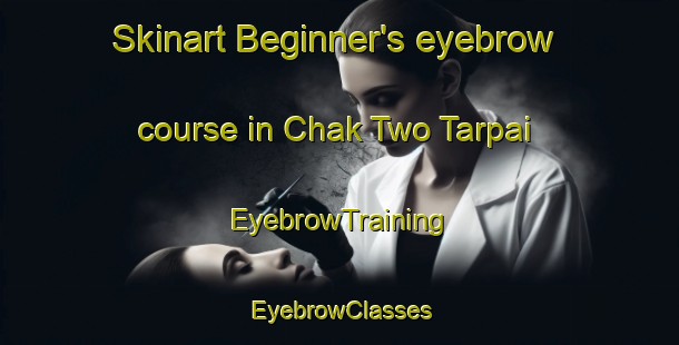 Skinart Beginner's eyebrow course in Chak Two Tarpai | EyebrowTraining | EyebrowClasses | SkinartTraining-Pakistan