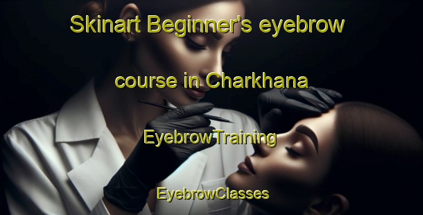 Skinart Beginner's eyebrow course in Charkhana | EyebrowTraining | EyebrowClasses | SkinartTraining-Pakistan