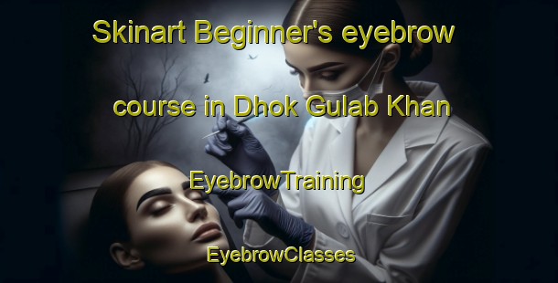 Skinart Beginner's eyebrow course in Dhok Gulab Khan | EyebrowTraining | EyebrowClasses | SkinartTraining-Pakistan