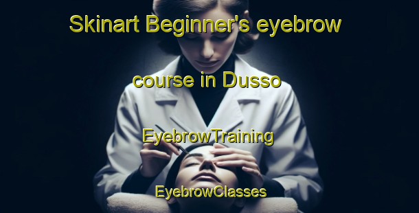 Skinart Beginner's eyebrow course in Dusso | EyebrowTraining | EyebrowClasses | SkinartTraining-Pakistan