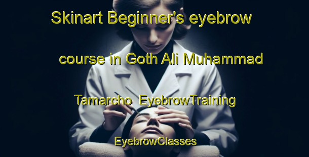 Skinart Beginner's eyebrow course in Goth Ali Muhammad Tamarcho | EyebrowTraining | EyebrowClasses | SkinartTraining-Pakistan
